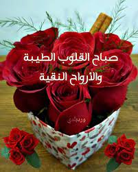 جاء الصباح وغن ى قلت للقلب تمن ى قال لست اليوم أرجو غير عفو ث good morning flowers good morning roses good morning quotes