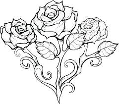 More than 600 free online coloring pages for kids: Rose Coloring Pages Pictures Whitesbelfast Com