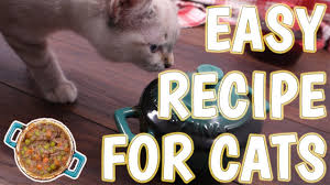 This recipe may not be suitable for cats that have chronic kidney. Easy Homemade Cat Food Recipe Youtube