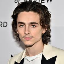 I'm glad he got a hair cut but lately it looks like something out of jersey shore with how big it is at times. Timothee Chalamet S Mustache Sparks Internet Wide Debate Twitter Reactions Allure