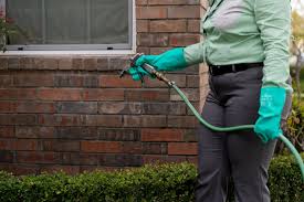 Many common insects love moisture, and if you have problems with moisture in the following content was provided by donald link, one of our pest control heroes and moisture control experts here at clegg's pest control. Best Pest Control Companies In Las Vegas 2021 This Old House