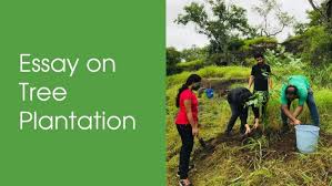 Tree plantation means planting trees more and more. Essay On Tree Plantation 200 500 1000 Words