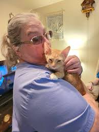 My sweet orange cat passed away today. Please give your orange kitties some  extra love today! My older cat, Tito, passed away today. He was a great boy  and my first orange