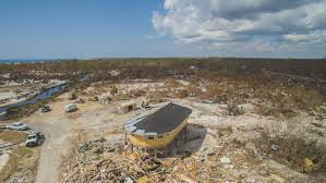 See Haleigh Cox in raw form - nude scenes now