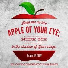 Like the apple of thine eye preserve me, o lord god; 10 Apple Of His Eye Ideas His Eyes Apple Psalm 17
