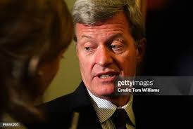 23,591 Sena Stock Photos, High-Res Pictures, and Images