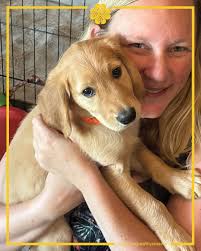 Henlo my name is cooper and dis my brover Kylo we are also golden