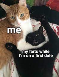 Features cute and funny tiktok cats and cat memes to make you laugh. Funny Cat Memes Clean 2020 Nuevo Meme 2020