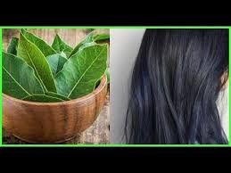 حتى لو كنت صلعاء مكون واحد من البيت سيجعل شعرك طويل وكثيف كشعر الهنديات وخال من الشيب Youtube Pergola Plants