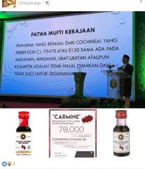 Objektif utama penubuhan bahagian hab halal jakim ini adalah untuk melaksanakan sistem. Makanan Mengandungi Bahan Pewarna Cochineal Tidak Halal Sebenarnya My
