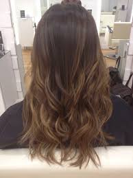 No Bleach Sombre Soft Natural Caramel Highlights On Chocolate Brown Hair Hair Highlights Chocolate Brown Hair Brown Ombre Hair