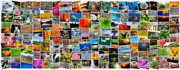 Download von bildcollage auf shareware.de. Was Sind Collage Programme