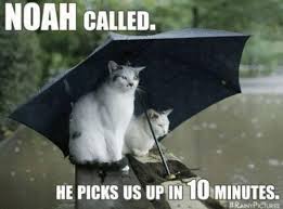 Dominic Brown CBS 11 - Are you tired of all the rain like me ...