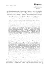 Image result for Antopetitia abyssinica