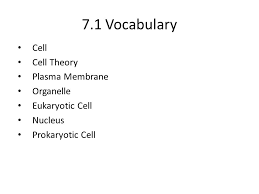 Name class date 7.1 life is cellular lesson objectives state the cell theory. Chapter 7 Cellular Structure And Function 7 1 Vocabulary Cell Cell Theory Plasma Membrane Organelle Eukaryotic Cell Nucleus Prokaryotic Cell Ppt Download