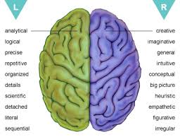 Left Vs Right Brain Which Hemisphere Dominates You Brain Injury Left Vs Right Brain Brain Pictures