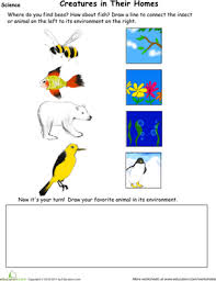 Animal Habitat Drawing Page Worksheet Education Com