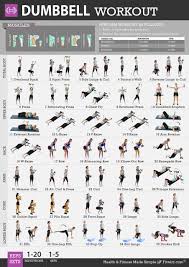Dumbbell Workout Chart Printable New Dumbbell Workouts For