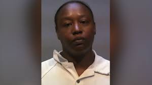 Dog trainer, girlfriend accused of trying to cover up deaths of at least 11  dogs in their care