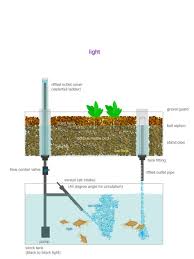 Mikelow Backyard Aquaponics Hydroponics Aquaponics