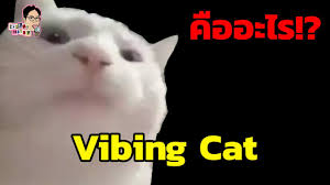 เจ้าแมวเบื้องหลัง pop cat นี้ มีชื่อจริงว่า oatmeal ซึ่งเจ้าของได้นำรูปของมันมาโพสต์เล่นๆ ในหมู่เพื่อน ก่อนที่จะมีคนนำภาพนั้นมาตัดต่อ. à¸¡ à¸¡ Vibing Cat à¸„ à¸­à¸­à¸°à¹„à¸£ Ep 42 à¸‰ à¸™à¸¡à¸²à¸† à¸²à¸¡ à¸¡ The Series Youtube
