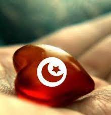 الأخبار الوطنية | أخبار تونس اليوم على موقع موزاييك آف آم (1) Tunisia News Ø£Ø®Ø¨Ø§Ø± ØªÙˆÙ†Ø³ Home Facebook