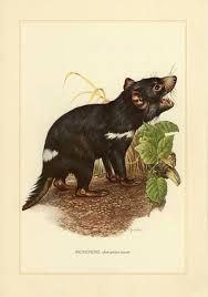 Pin On Natural History