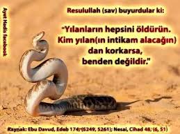 Cubbeli Ahmet Hoca Hakkindaki Ithamlar Geneli Itibariyle Vahhabi Hadis Inkarcilari Tarafindan Sirk Bulunur Ve Halk Tarafindan Da Yayilir Zira Ayet Hadislerle Kaynakli Konustugunu Her Akliselim Bilir Ehlisunnet Cizgisini Hic Bozmamistir Masal Degil