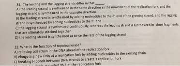Leading-Versus Lagging-Strand Enriched Molecules With Their Function In...  | Download Table