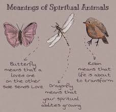 Bruised But Not Broken