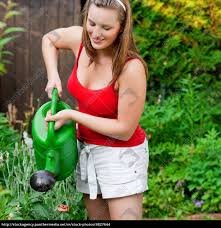 Die tote frau im garten. Frau Im Garten Beim Giessen Der Blumen Lizenzfreies Foto 4827644 Bildagentur Panthermedia