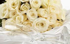 Rosas Blancas Fondo De Pantalla Y Escritorio Hd Gratis White Roses White Roses Wallpaper Rose