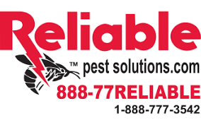 All solutions has an extensive list of pest control services offered to wentzville residents. Pest Control Servicing The Missouri Illinois Iowa Area