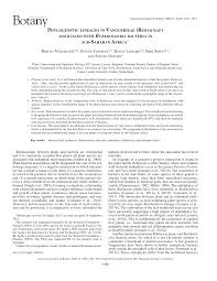 Image result for Rytigynia sp. C