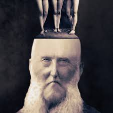 Stream Brandie Lee Rossi music