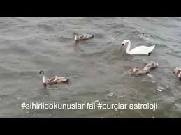 Biraz Huzur Terapi Youtube In 2020