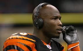 Matt Stamey's Instagram, Twitter & Facebook