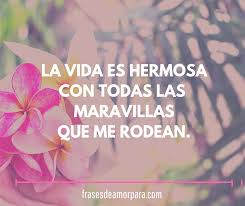 Frases Lindas Cortas De Amor Frases Frases Bonitas Lindo Frases