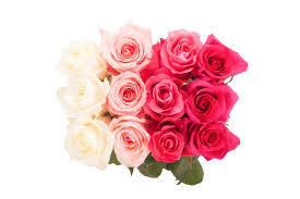 Best flowers for valentine's day besides roses. How To Buy Valentine S Day Flowers Diy Network Blog Made Remade Diy