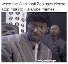 #charlie murphy #chappelle's show #chappelle's show gif. No More Harambe Chappelle S Show Funny Gif Giphy