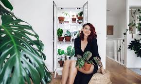The diy bamboo greenhouse greenhouse design. Turning The Ikea Milsbo Cabinet Into An Indoor Greenhouse Rachel Aust