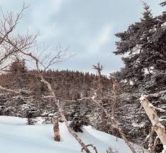 44.378652 the mill has become one of the top tourist attractions in vermont because our operation is open to. Cold Hollow Mtn Private The Vermont 110