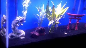 Get the latest in fish decor for tank. My First 30 Gallon Asian Themed Aquarium Youtube