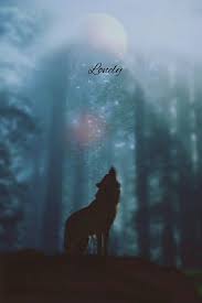 Lonely Animals Lonely Panther