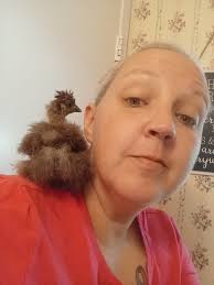 Can horse pellets be used as chicken feed?