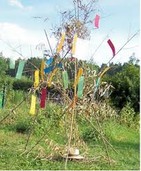 Hesse Garten In 2020 Garten Rote Nelke Ostwind