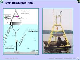 Biological Oceanography 14 Aspects Of Zooplankton Ecology