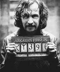 Especial Harry Potter: Meu personagem favorito