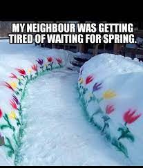 My Neighbour Was Getting Tired Of Waiting For Spring Life Happy Flowers Winter Funny Pictures Snow Fun Funny