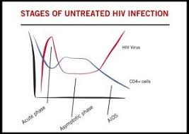 Stages Of Hiv Infection Canfar